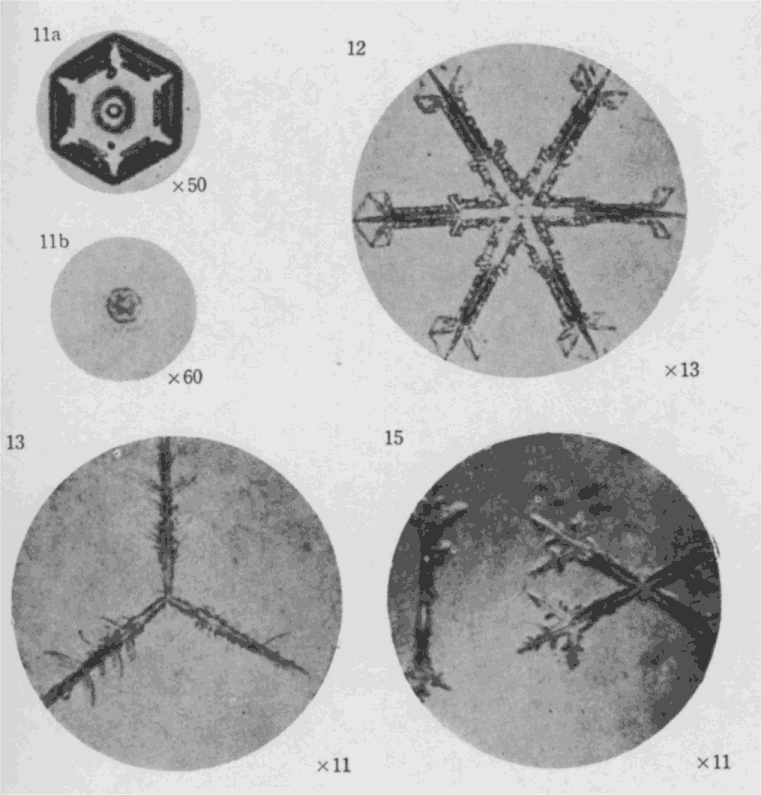 「第５図版」のキャプション付きの図